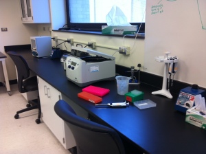 lab bench where I've been doing DNA extractions 